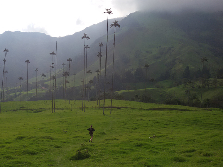 Hike under Salento's Wax Palms in Colombia.