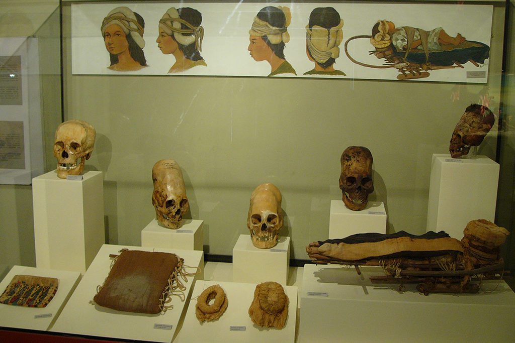 Skulls at the Museum in Ica, introduced in the guide to Ica and Huacachina