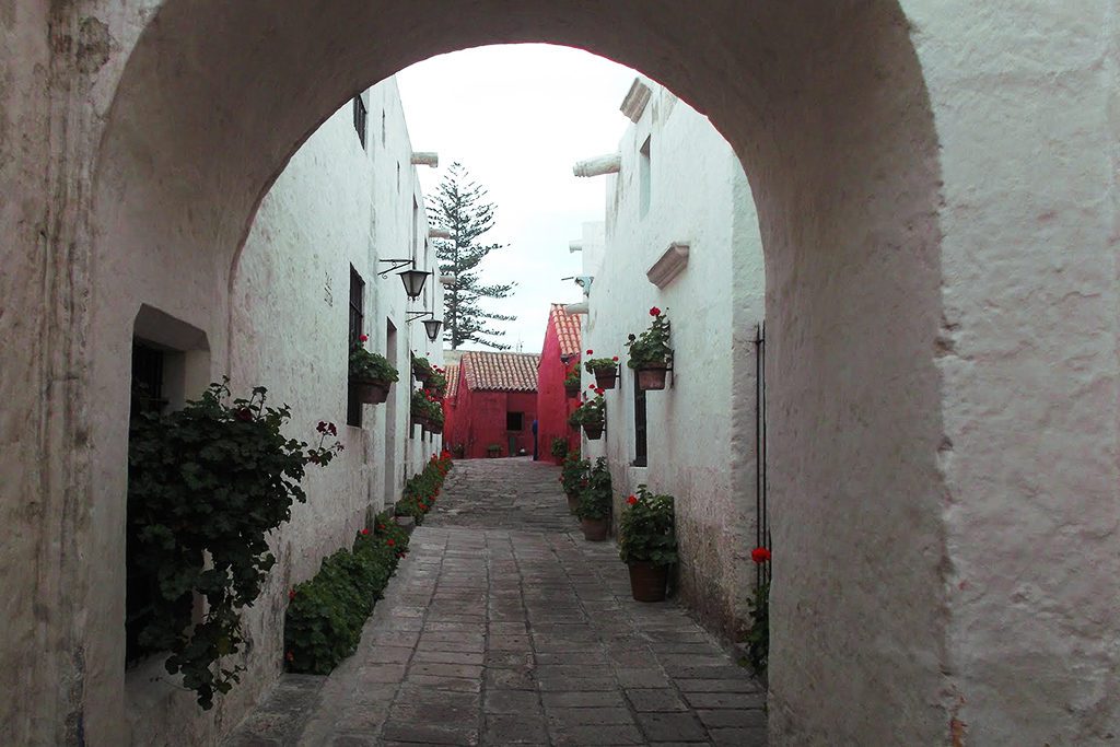 White ashlar masonry with red geraniums at the Santa Catalina Monastery, introduced in the guide to Arequipa and the Colca Canyon.