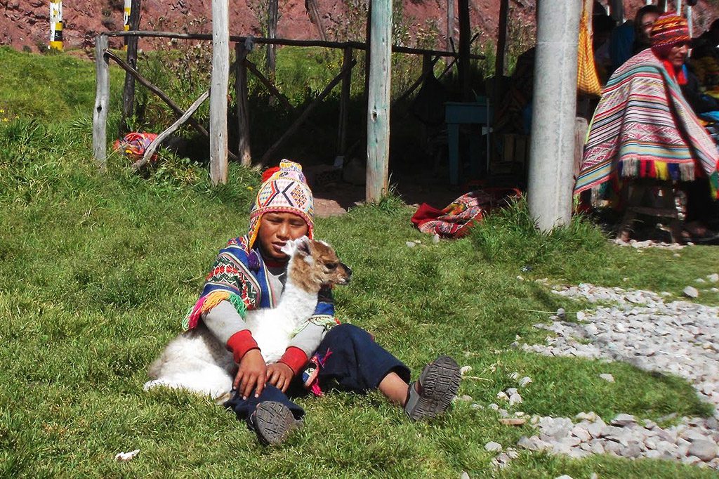 Little Peruvian Boy with a baby llama