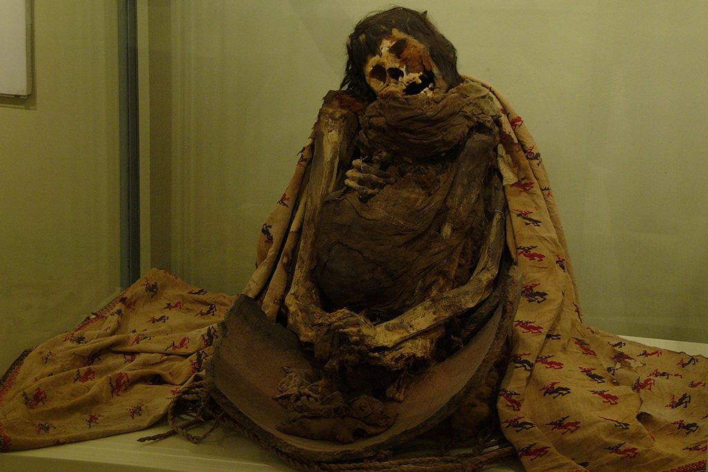 Mummy wrapped in a traditional Paracas cloth at the Museum in Ica, introduced in the guide to Ica and Huacachina