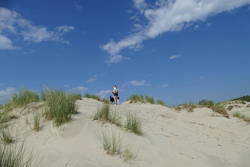 Girl and dog on a sand dune on Borkum West of East Frisia
