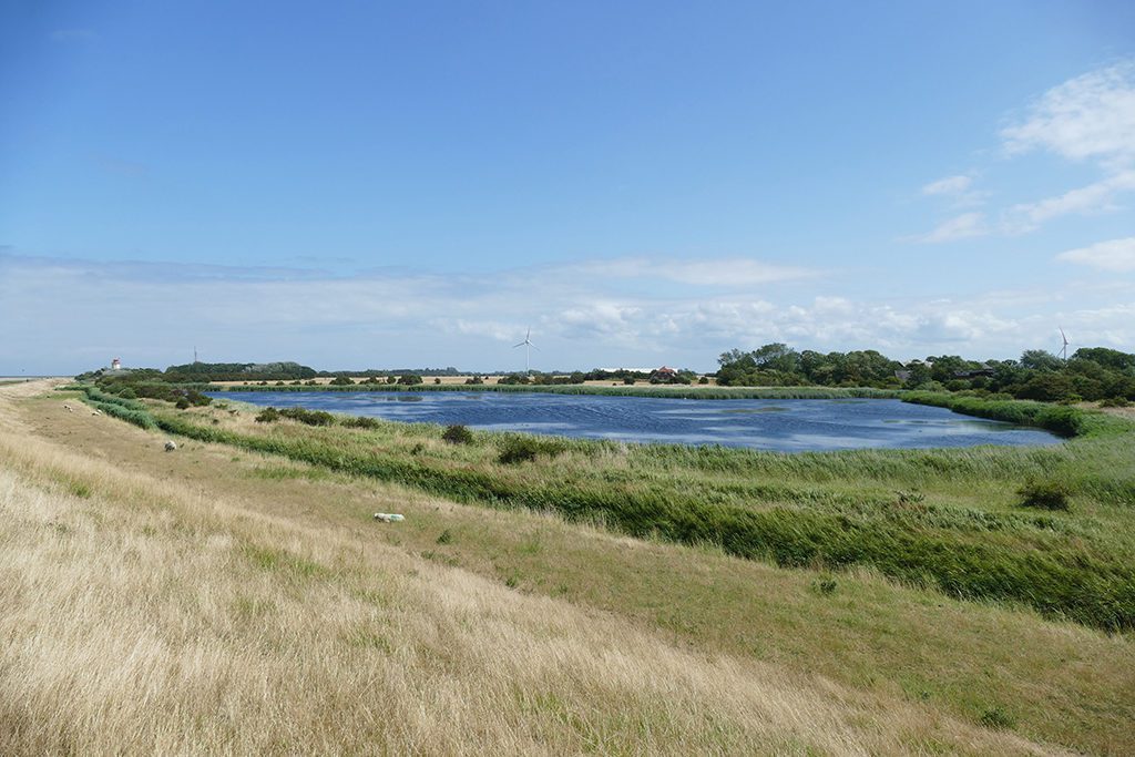 Fehmarn's dikes in the northwest of the Island