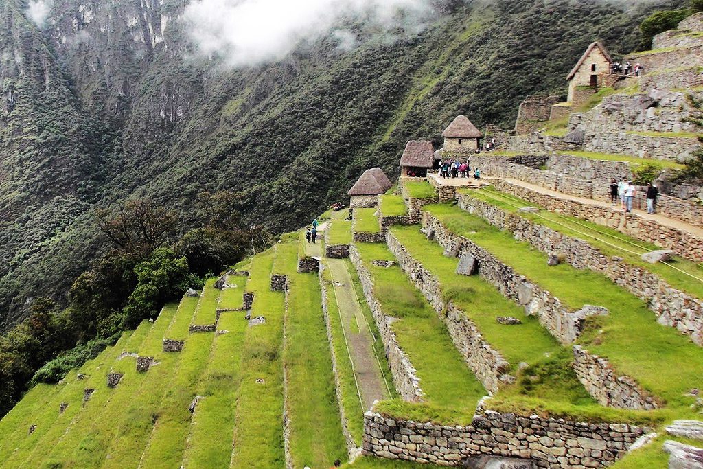 Terraces and houses