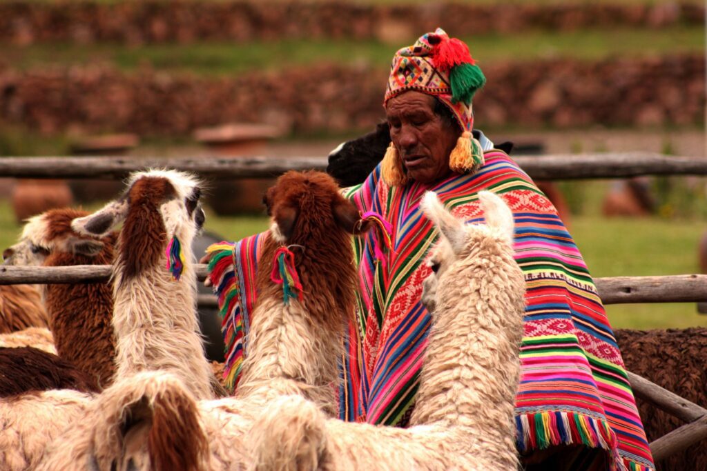 Indigenous Man in the Andes, the mountainous highlights of Peru