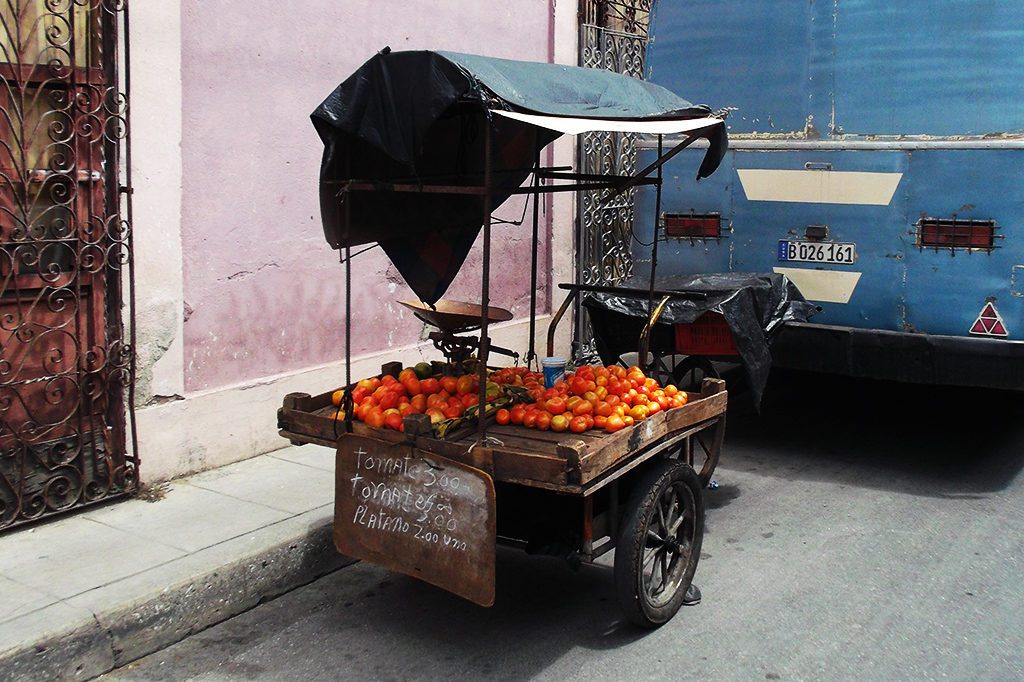 Cart with tomatoes