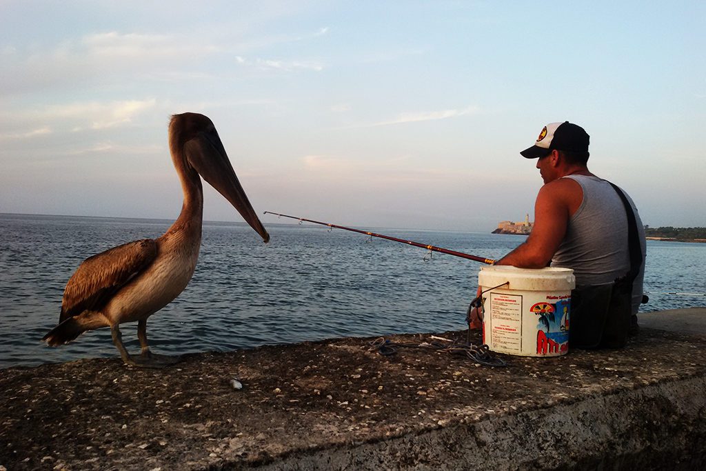 Man fishing from the Malecon in Havana.