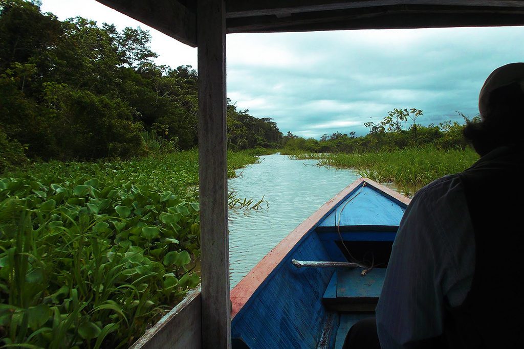 Gliding down the bayou at the Yarinacocha lagoon 