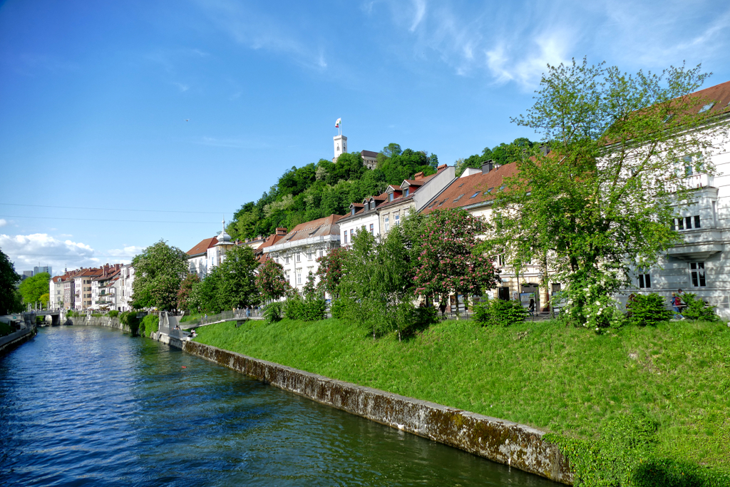 Southern bank of the Ljubljanica river.