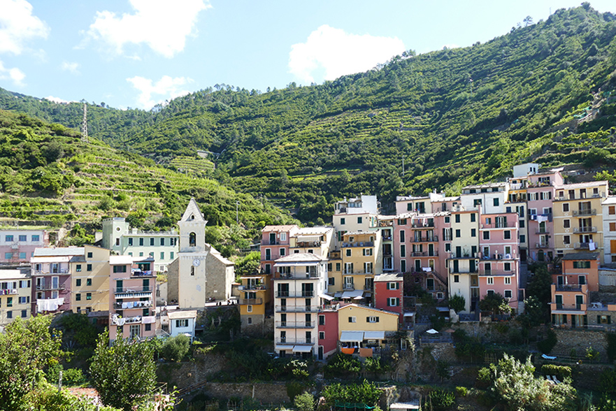 Lush vineyards in the backdrop of Manarola, one of the Cinque Terre connected by the world's most picturesque hiking trail