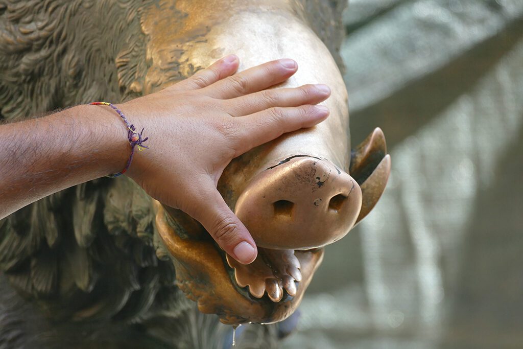 The luck-bearing boar Porcellino in FLORENCE - Home of the Medici, Cradle of the Renaissance