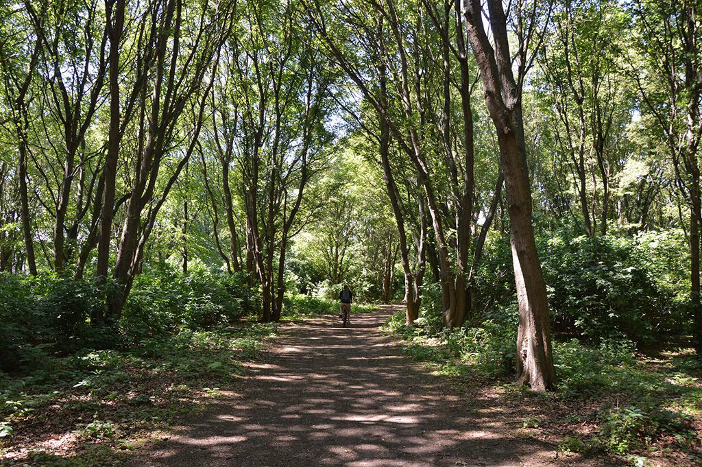 Park in Malmö