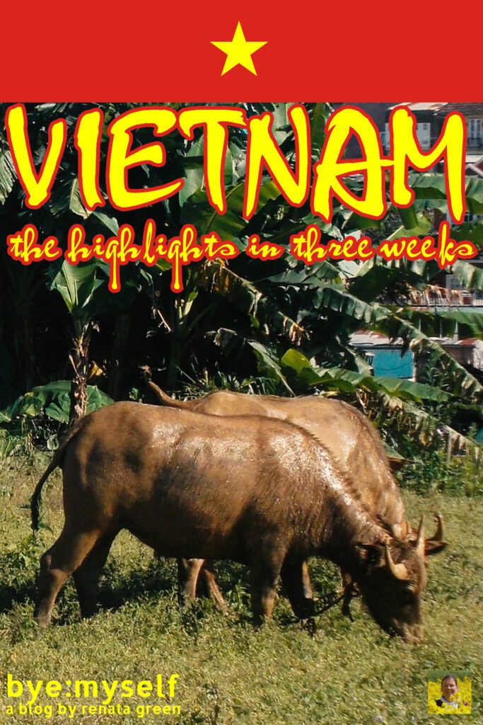 Pinnable Picture for the Post on VIETNAM - the highlights in three weeks