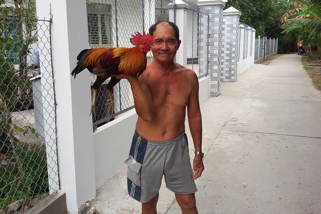 Man holding a rooster in Can Tho in the Mekong Delta in Vietnam