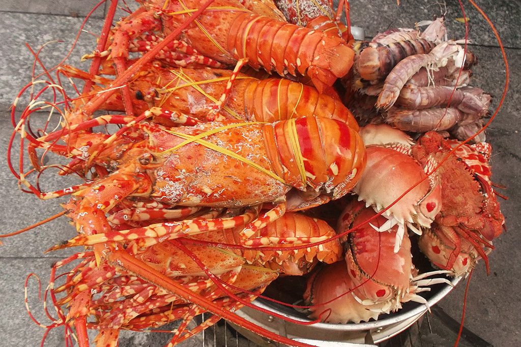Shellfish to be sold on the beach of Nha Trang
