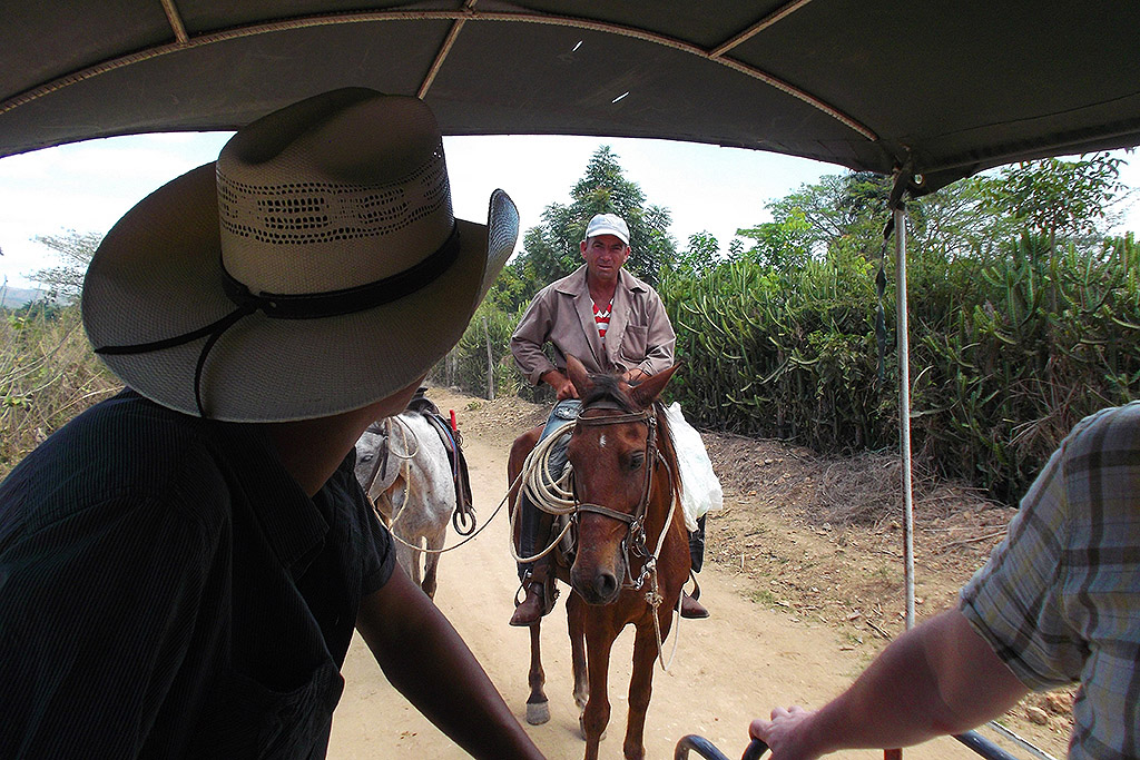 Horse and carriage in Trinidad, Cuba's Colonial Fantasy