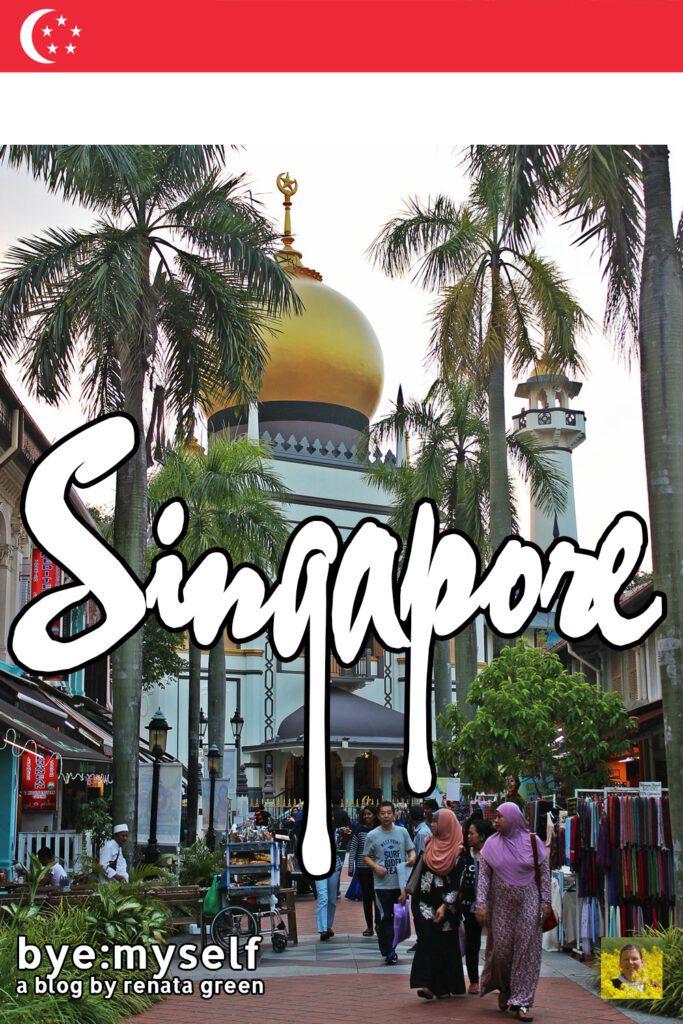 Pinnable Picture on the Post on SINGAPORE - first-timers guide to a powerful city-state