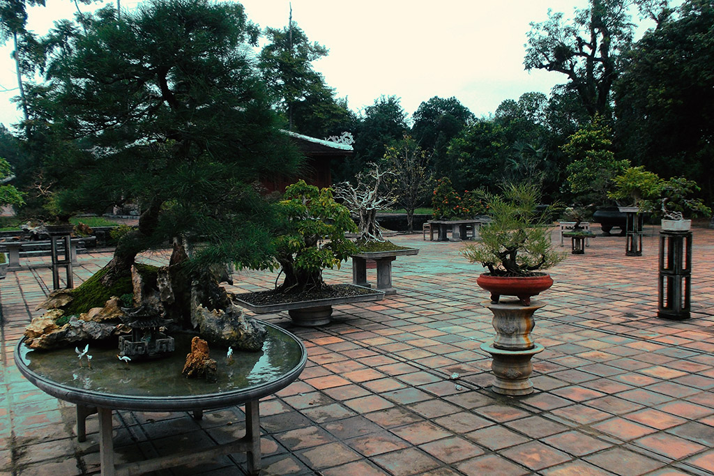 Bonsai trees at the Thien Mu Pagoda