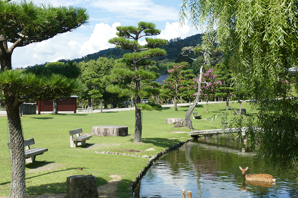 Park in Nara