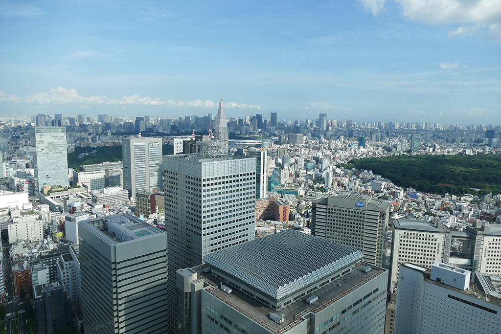 View from the Metropolitan Government Building in Tokyo