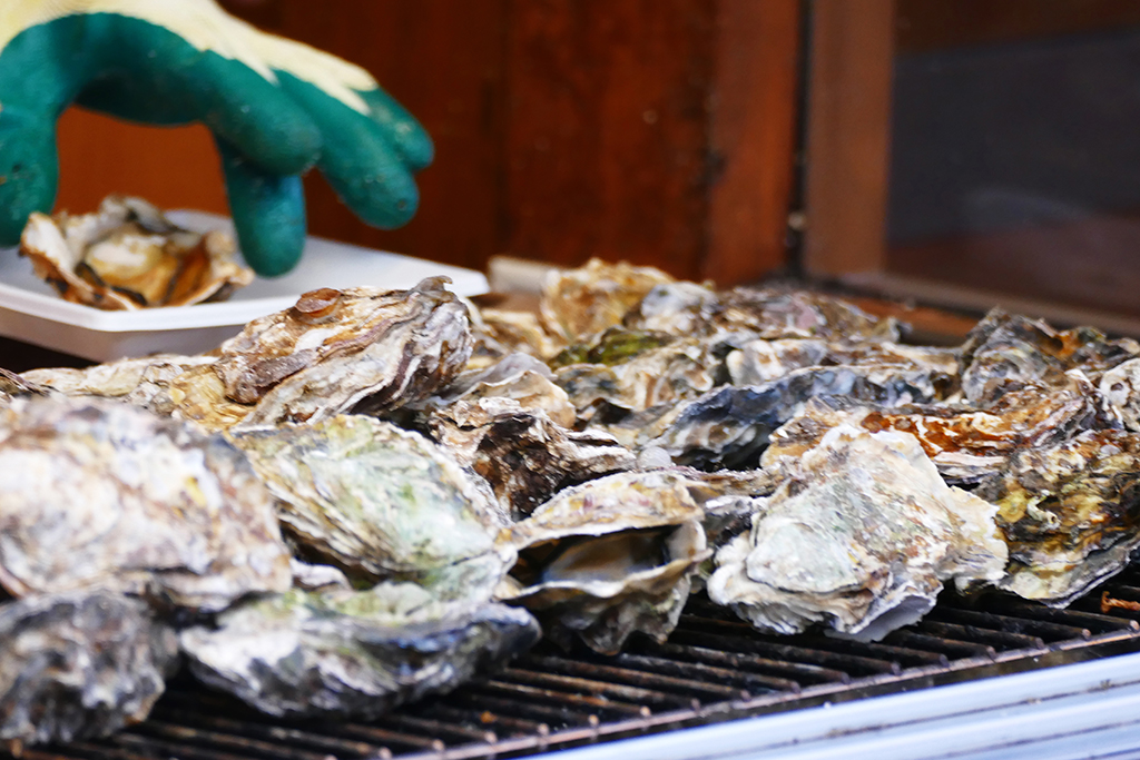 Oysters on Miyajima