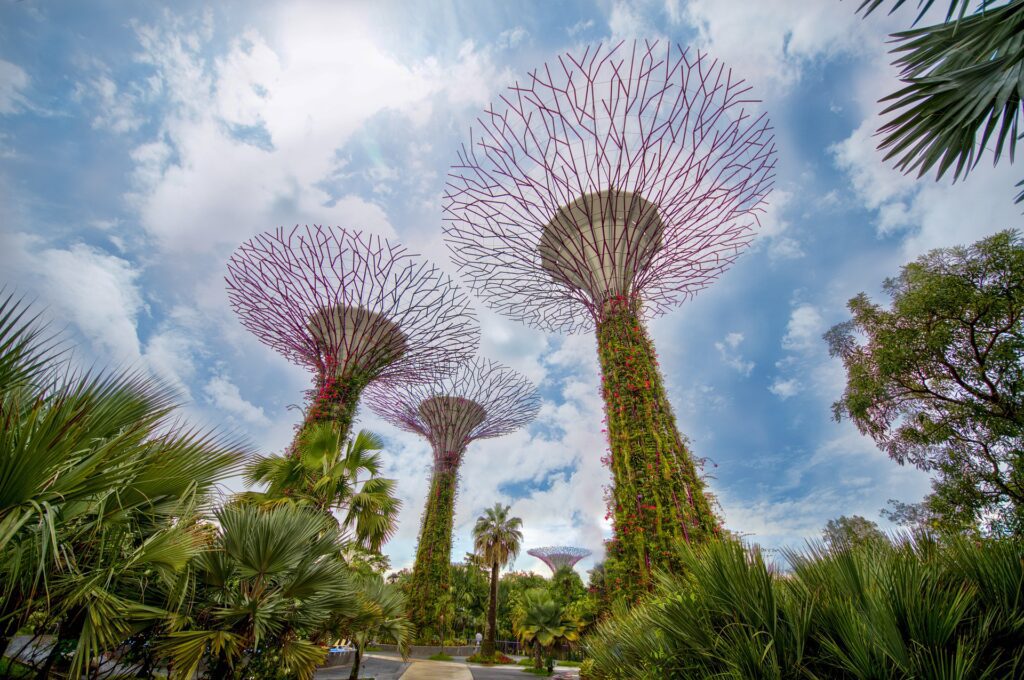 Supertree Grove at the Gardens by the Bay in Singapore