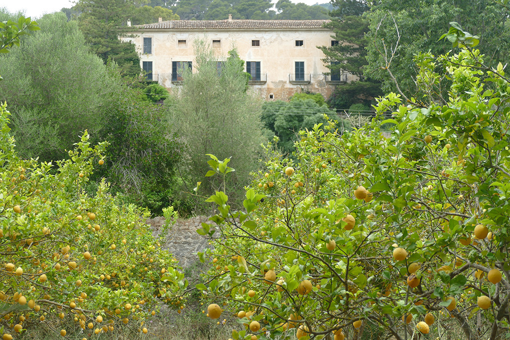 Mansion on the outskirts of Puigpunyent