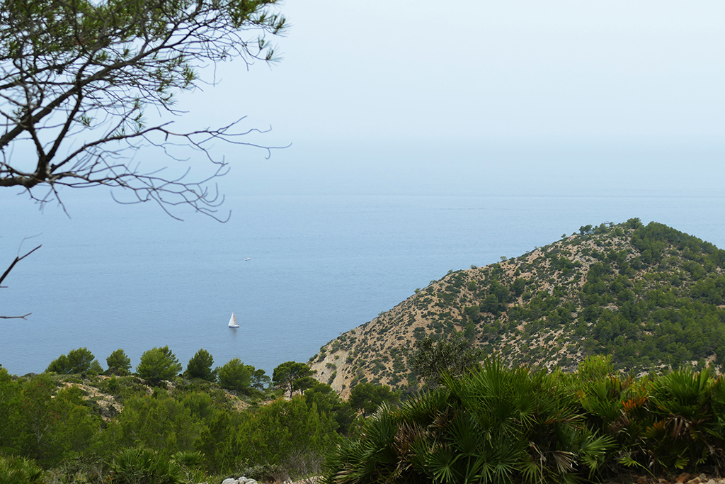 View of the sea on a hike from Port d'Andratx to Sant Elm