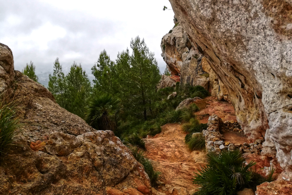 Trail on the Andratx Sant Elm Hike