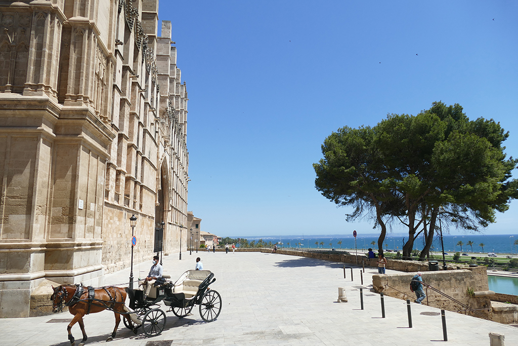 Going around the Basílica de Santa María en Palma by horse and carriage