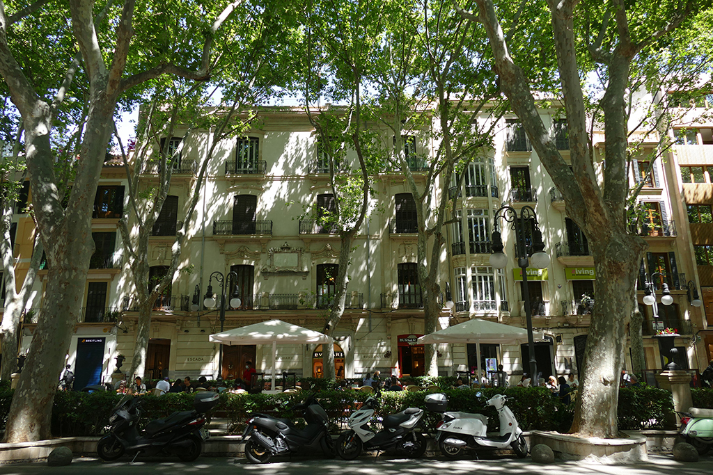 Passeig del Born in Palma de Mallorca