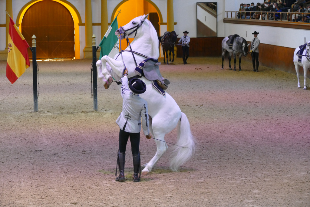 The Royal Andalusian School of Equestrian Art Foundation