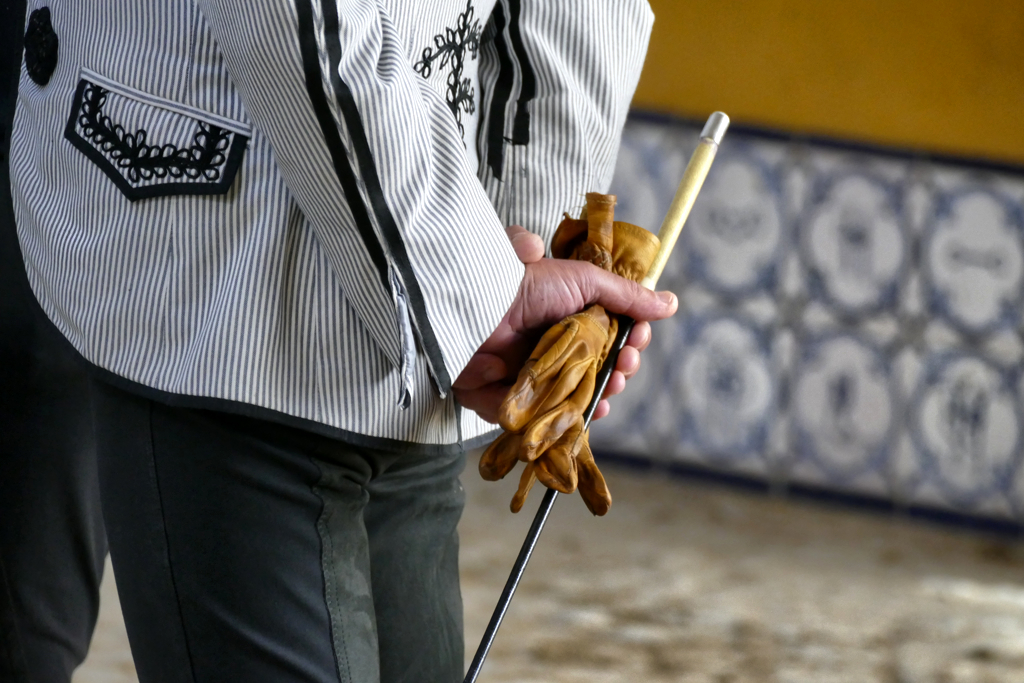 Rider at the The Royal Andalusian School of Equestrian Art Foundation