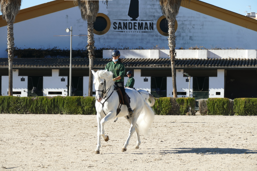 Training of a Carthusian in Jerez de la Frontera