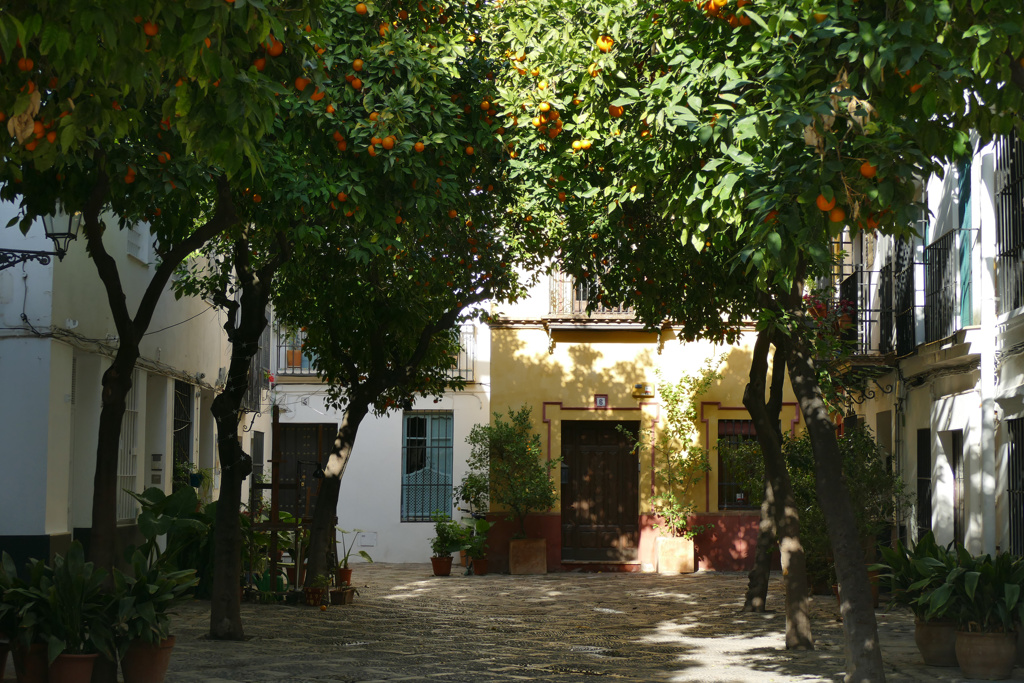 Calle Verde in Seville
