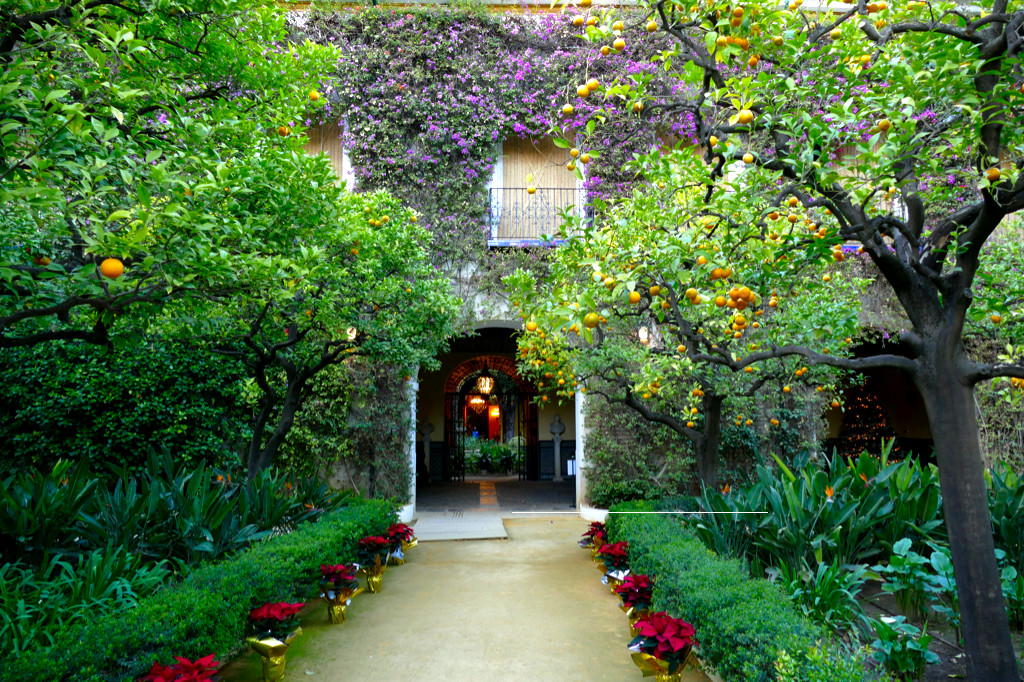 Palacio de las Dueñas, visited during Three Days Seville Andalusia 