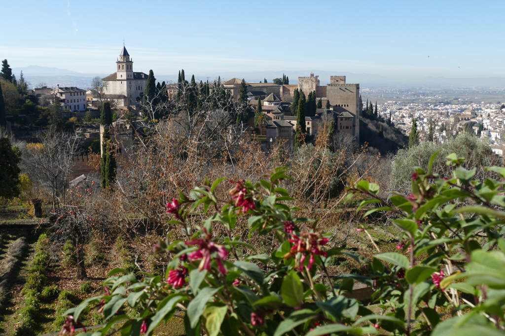 View of the Alcazaba and the Palaces of the Alhambra from the gardens of Generalife.