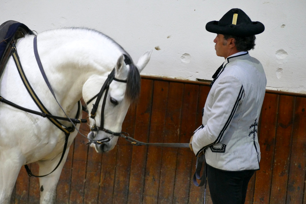 The Royal Andalusian School of Equestrian Art Foundation