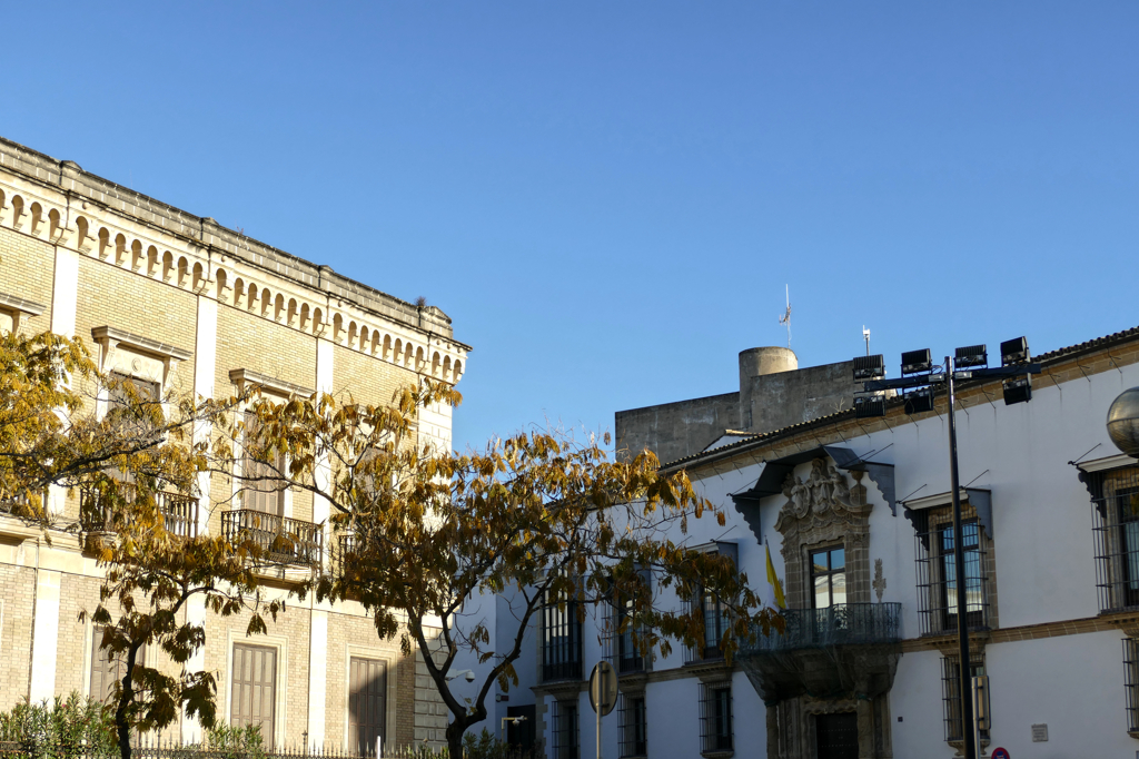 Palacio de los Condes de Puerto Hermoso and Palacio Bertemati side by side.