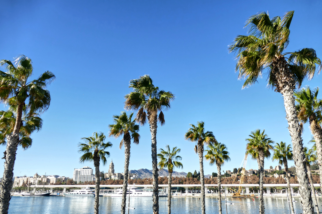 View of Malaga, hometown of Picasso