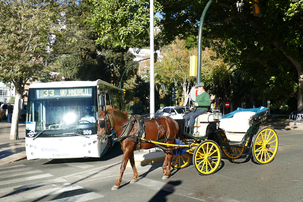 Carriage and a bus in Malaga's street