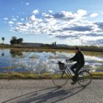 Man cycling at the Albufera de Valencia