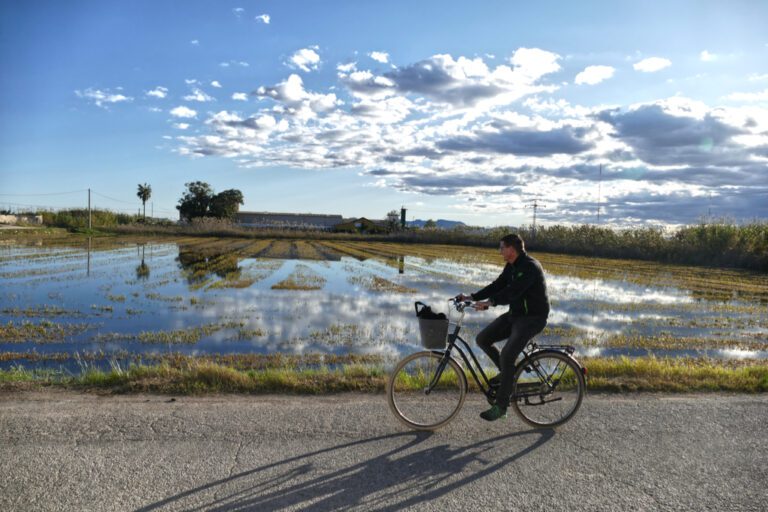 Day Trip to the Albufera Nature Reserve Outside Valencia