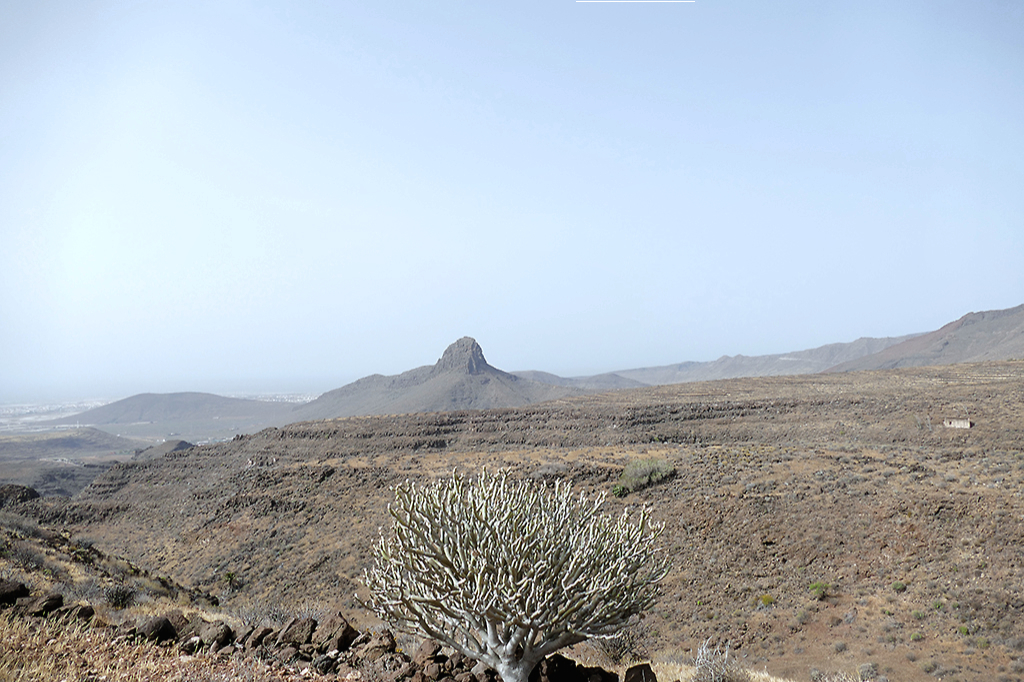 Barranco in Gran Canaria where I did break a leg