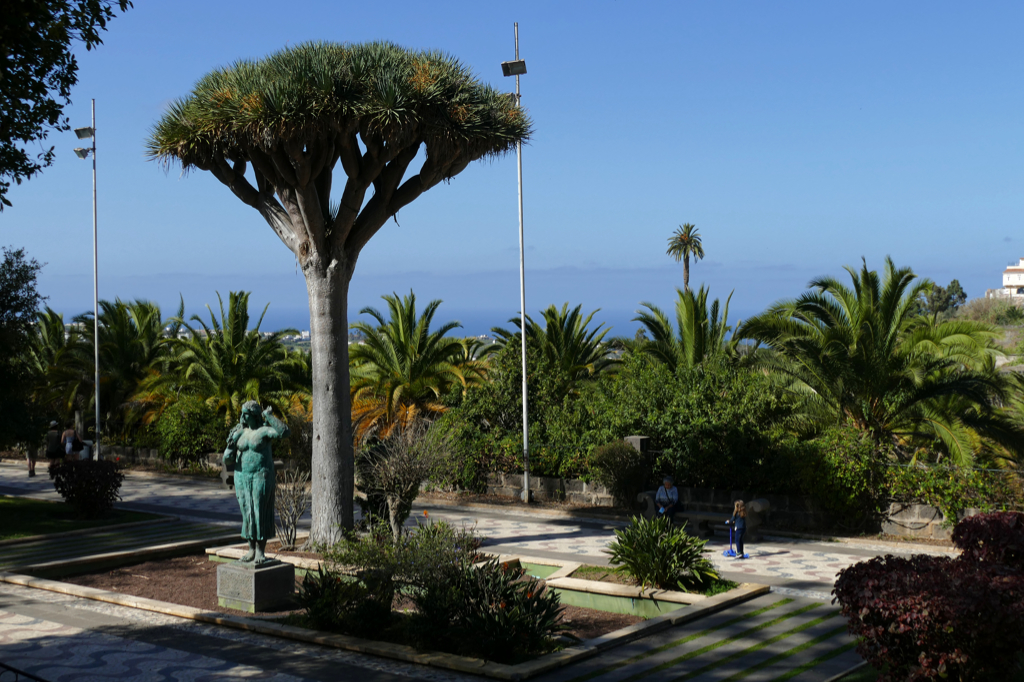 Arucas' wonderful park with the Atlantic Ocean in the backdrop.