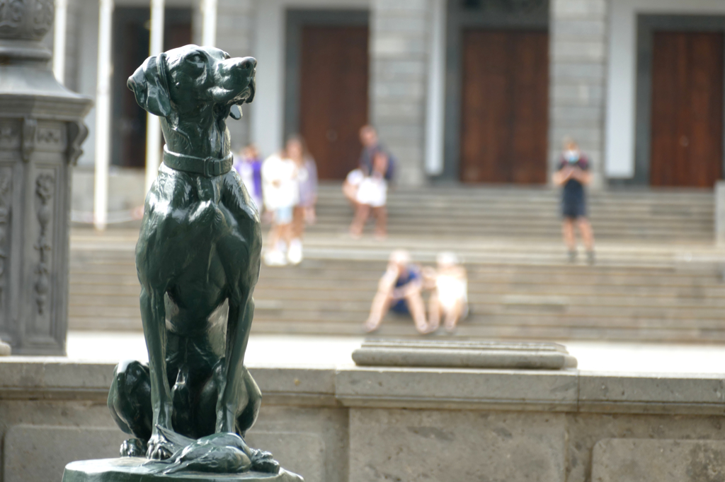 Dog sculpture on the Plaza Santa Ana in Las Palmas