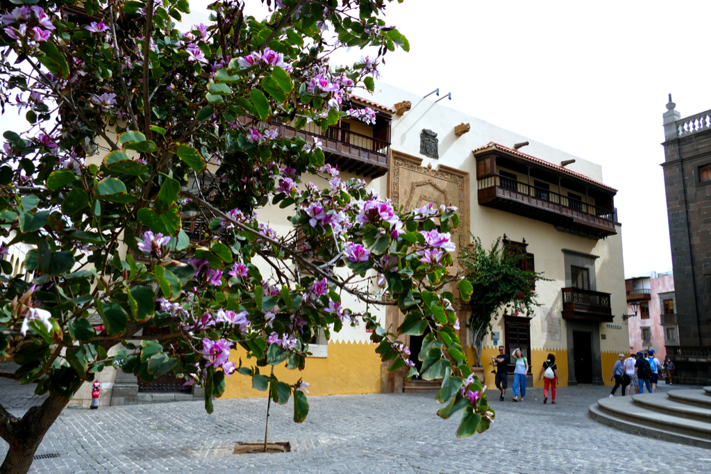 San Antonio Vegueta Biblioteca in Las Palmas de Gran Canaria.