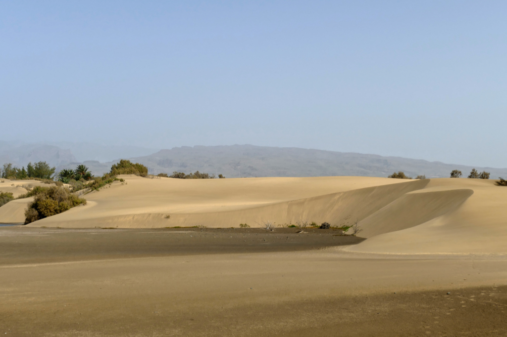 Dunes of Maspalomas.