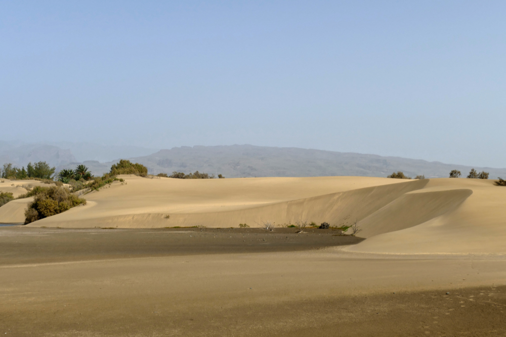 Maspalomas in the south of Gran Canaria.