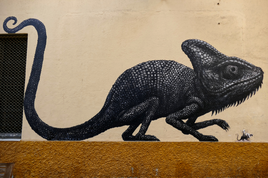 Street Art by ROA in Malaga